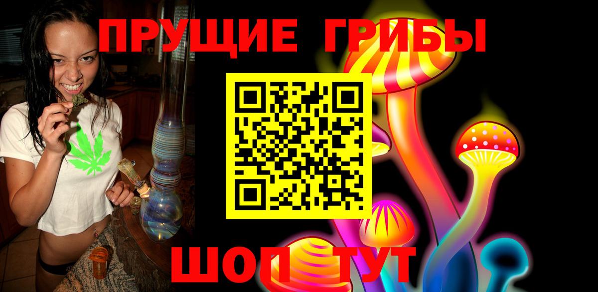 Галлюциногенные грибы Cubensis Куйбышев